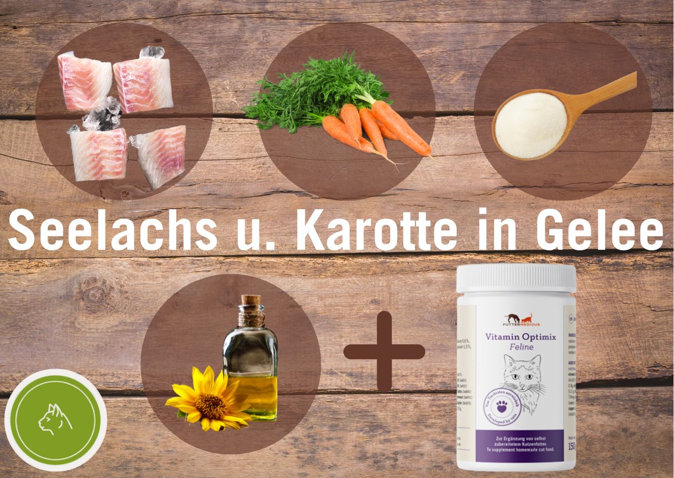 rezept_seelachs_karotte_in_gelee_katze