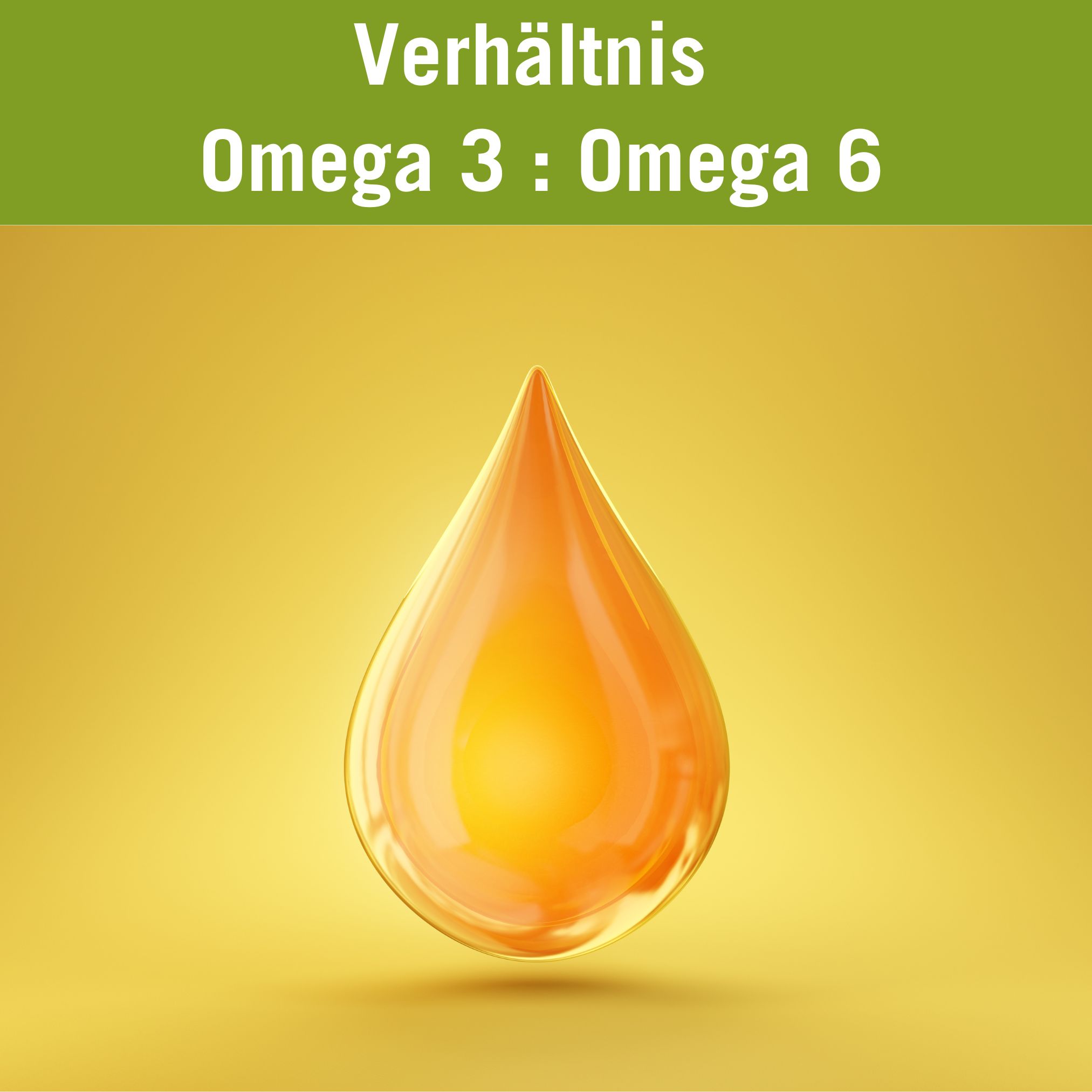 omega 3 und 6 verhältnis hund und katze